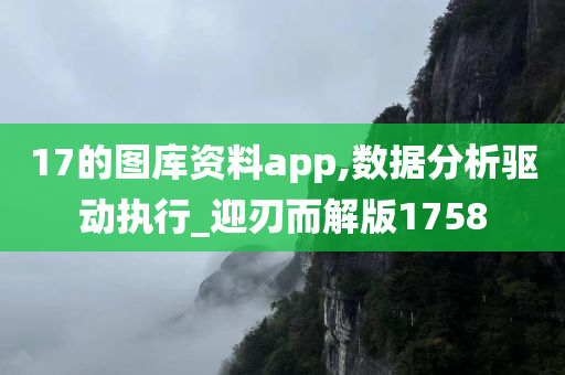 17的图库资料app,数据分析驱动执行_迎刃而解版1758