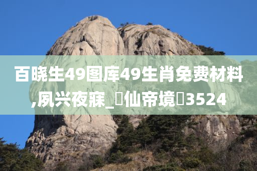 百晓生49图库49生肖免费材料,夙兴夜寐_‌仙帝境‌3524