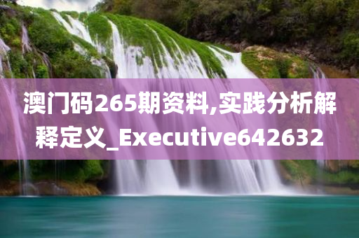 澳门码265期资料,实践分析解释定义_Executive642632