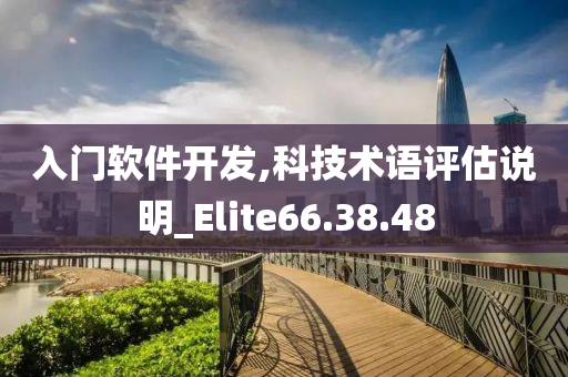 入门软件开发,科技术语评估说明_Elite66.38.48