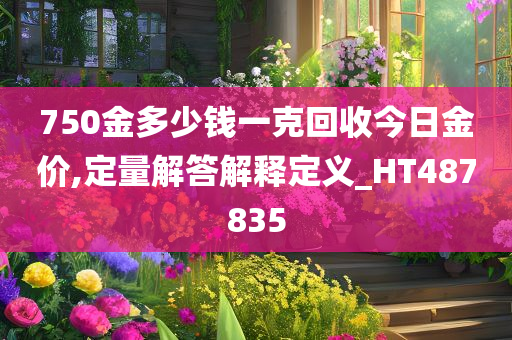 750金多少钱一克回收今日金价,定量解答解释定义_HT487835