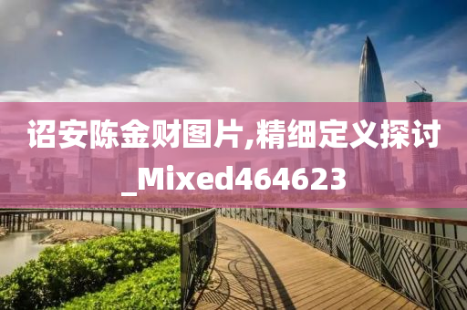 诏安陈金财图片,精细定义探讨_Mixed464623