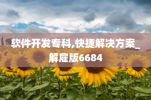 软件开发专科,快捷解决方案_解雇版6684