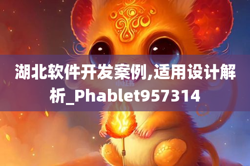 湖北软件开发案例,适用设计解析_Phablet957314