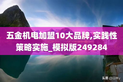 五金机电加盟10大品牌,实践性策略实施_模拟版249284