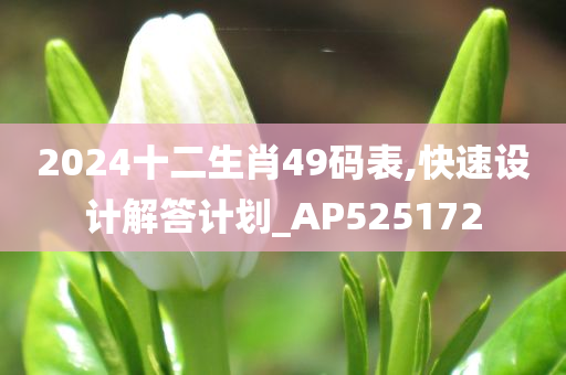 2024十二生肖49码表,快速设计解答计划_AP525172