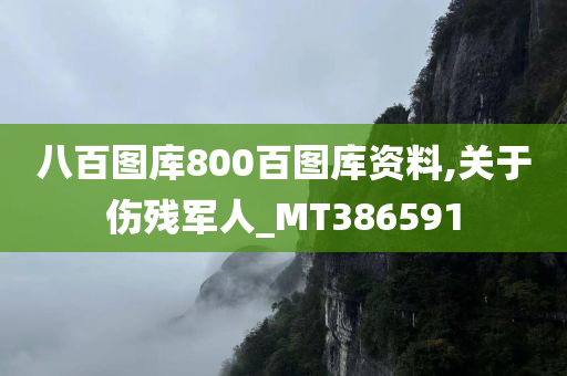 八百图库800百图库资料,关于伤残军人_MT386591