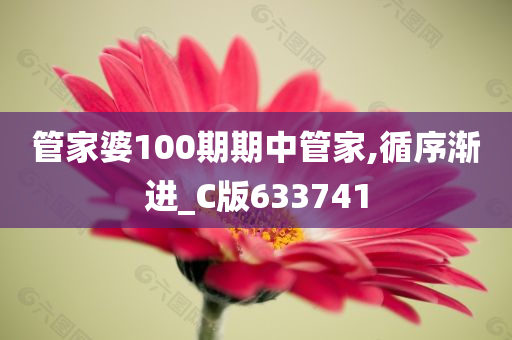 管家婆100期期中管家,循序渐进_C版633741