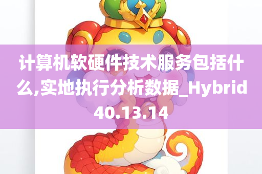 计算机软硬件技术服务包括什么,实地执行分析数据_Hybrid40.13.14