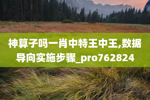 神算子吗一肖中特王中王,数据导向实施步骤_pro762824