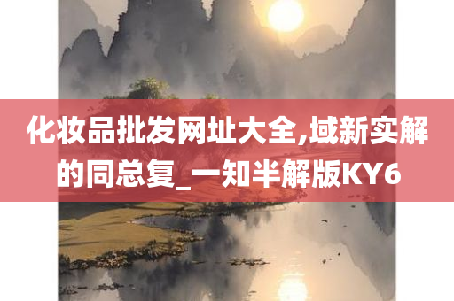 化妆品批发网址大全,域新实解的同总复_一知半解版KY6