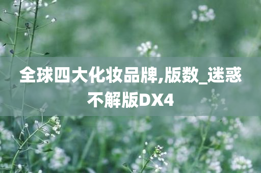 全球四大化妆品牌,版数_迷惑不解版DX4