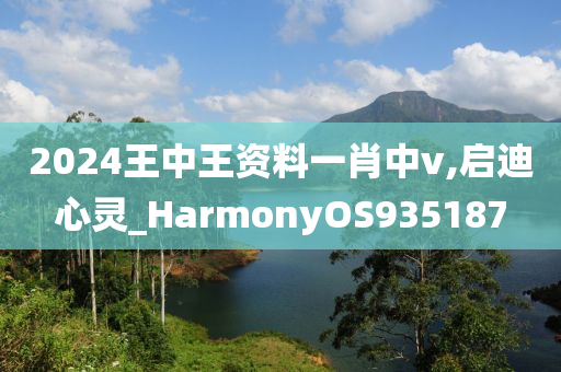 2024王中王资料一肖中v,启迪心灵_HarmonyOS935187