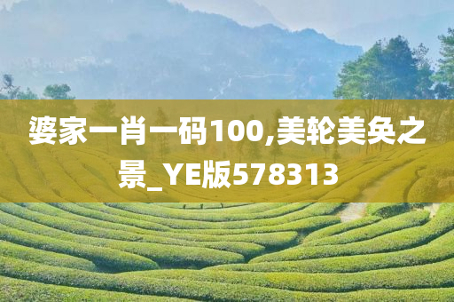 婆家一肖一码100,美轮美奂之景_YE版578313