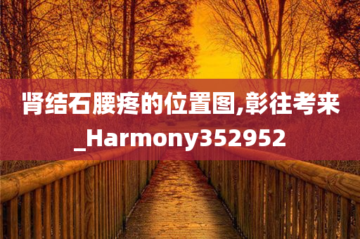 肾结石腰疼的位置图,彰往考来_Harmony352952