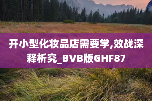 开小型化妆品店需要学,效战深释析究_BVB版GHF87