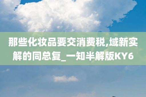 那些化妆品要交消费税,域新实解的同总复_一知半解版KY6