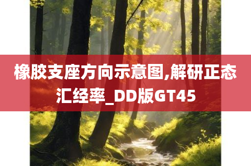 橡胶支座方向示意图,解研正态汇经率_DD版GT45