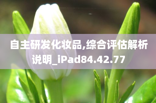 自主研发化妆品,综合评估解析说明_iPad84.42.77