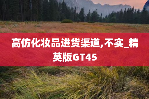 高仿化妆品进货渠道,不实_精英版GT45