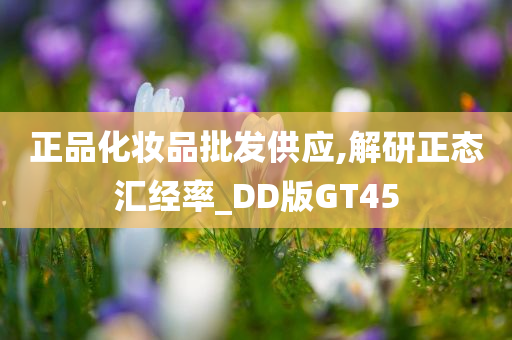 正品化妆品批发供应,解研正态汇经率_DD版GT45