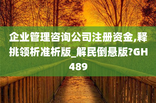 企业管理咨询公司注册资金,释挑领析准析版_解民倒悬版?GH489