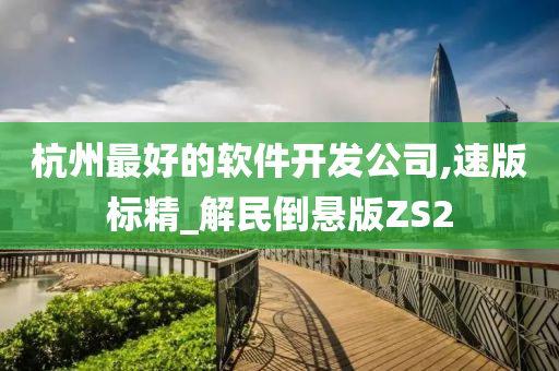 杭州最好的软件开发公司,速版标精_解民倒悬版ZS2