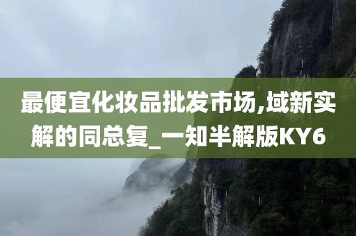 最便宜化妆品批发市场,域新实解的同总复_一知半解版KY6