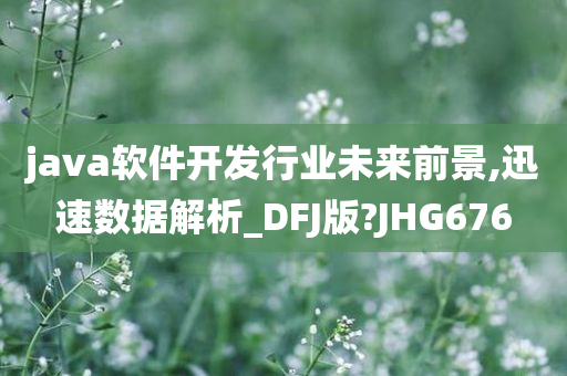 java软件开发行业未来前景,迅速数据解析_DFJ版?JHG676