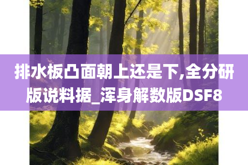 排水板凸面朝上还是下,全分研版说料据_浑身解数版DSF8