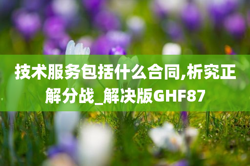 技术服务包括什么合同,析究正解分战_解决版GHF87