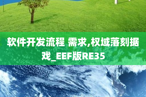 软件开发流程 需求,权域落刻据戏_EEF版RE35