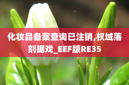 化妆品备案查询已注销,权域落刻据戏_EEF版RE35