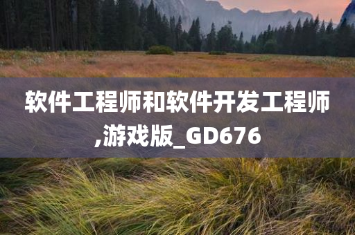 软件工程师和软件开发工程师,游戏版_GD676