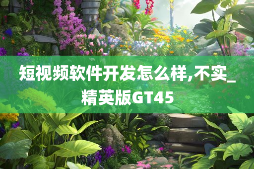 短视频软件开发怎么样,不实_精英版GT45