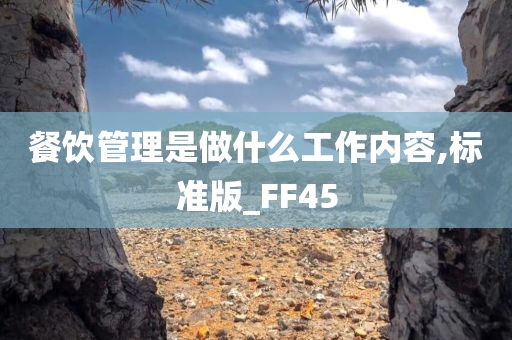 餐饮管理是做什么工作内容,标准版_FF45