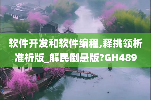 软件开发和软件编程,释挑领析准析版_解民倒悬版?GH489