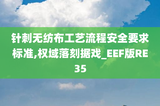 针刺无纺布工艺流程安全要求标准,权域落刻据戏_EEF版RE35