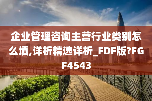 企业管理咨询主营行业类别怎么填,详析精选详析_FDF版?FGF4543