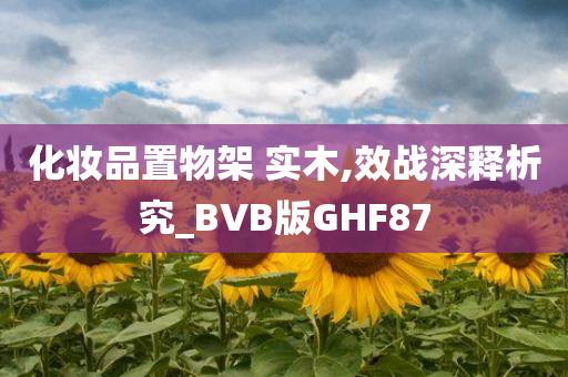 化妆品置物架 实木,效战深释析究_BVB版GHF87