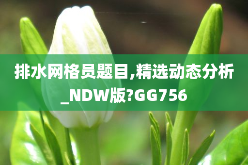 排水网格员题目,精选动态分析_NDW版?GG756