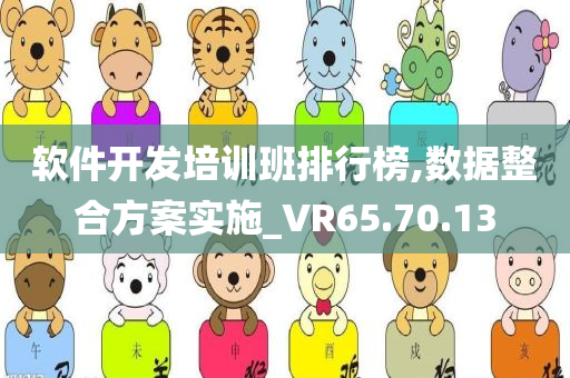 软件开发培训班排行榜,数据整合方案实施_VR65.70.13