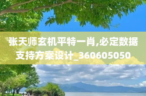 张天师玄机平特一肖,必定数据支持方案设计_360605050