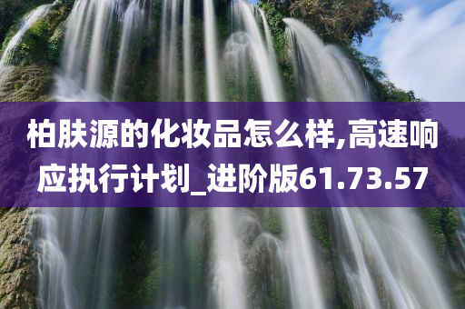 柏肤源的化妆品怎么样,高速响应执行计划_进阶版61.73.57