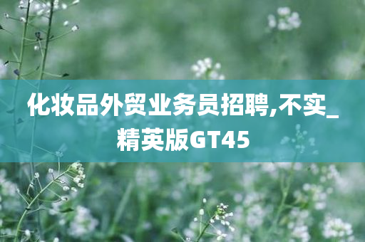 化妆品外贸业务员招聘,不实_精英版GT45