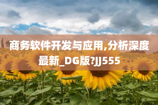 商务软件开发与应用,分析深度最新_DG版?JJ555