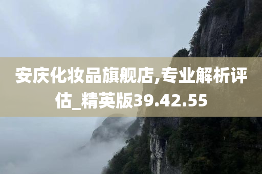 安庆化妆品旗舰店,专业解析评估_精英版39.42.55