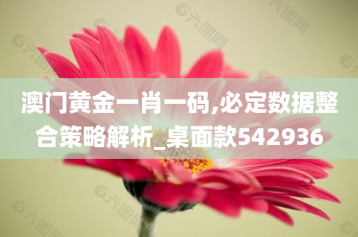 澳门黄金一肖一码,必定数据整合策略解析_桌面款542936