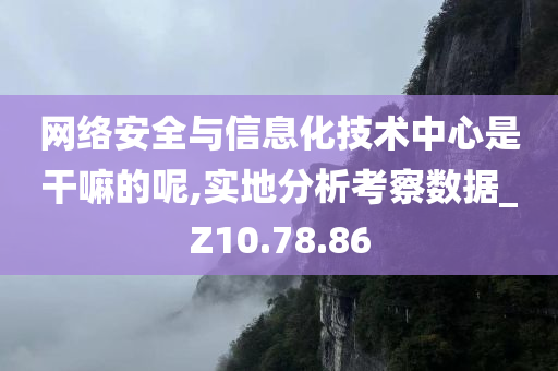 网络安全与信息化技术中心是干嘛的呢,实地分析考察数据_Z10.78.86