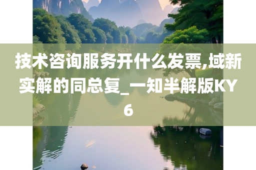 技术咨询服务开什么发票,域新实解的同总复_一知半解版KY6